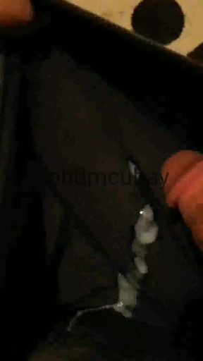 Seedcubay   Clip 1