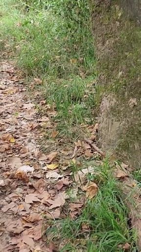 Exhib nature turns into a hot threesome