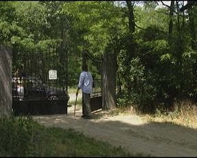 Attractive German slut gets her ass drilled outdoors