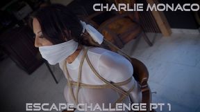 Charlie Monaco - Escape Challenge Pt 1 H265 MP4 4K ( Wrap Gagged , Bound Gagged , Rope Bondage , Tied Up Gagged , Bondage , BDSM , Escape Challenge , OTM Gag , Duct Tape Wrap Gag , Hairtie , Chairtied , Struggling , Charlie Monaco )