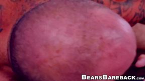 Bareback compilation with strong bears and sweet cubs