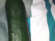 Cucumber in ass