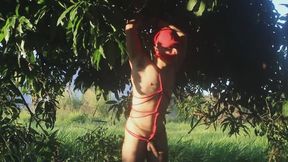 Athletic boy in red cap captured in the wild (Part 3)