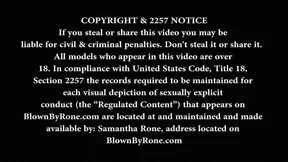 Mindi Mink, Samantha Rone MILF Romance