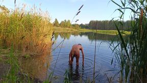 Evening by the lake. Unfortunately, I'm alone here ...