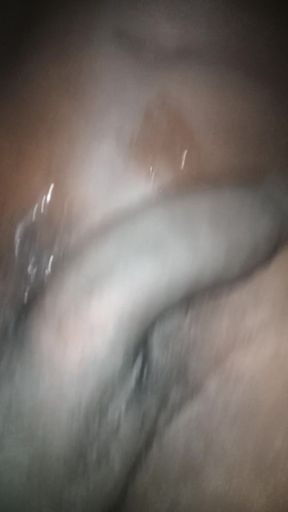 Melado