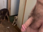 Cock and balls check first thing this morning 😈🫂🤤