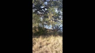 pussy play by the Lake