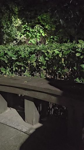 Shemale Ting Xuan Outdoor Amazing Anal