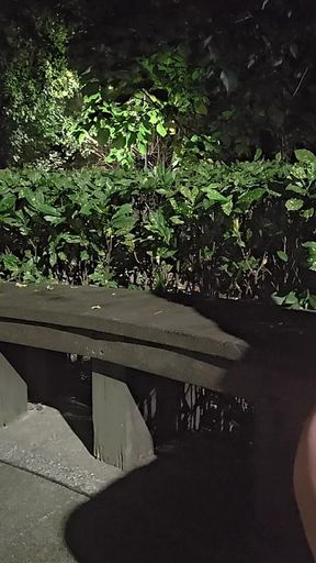 Shemale Ting Xuan Outdoor Amazing Anal