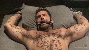 Mr Wilde Binds and Fucks a Muscled Body Builder with an Uncut Cock