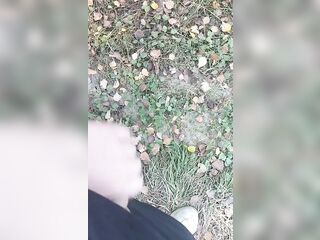 I walking in public place and stroke cruising in the park
