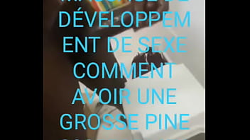La plus grosse pine de C&ocirc_te d'_Ivoire