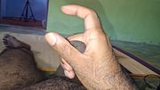 Desi BBC guy jerking Video 360