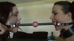 The ultimate Heavy Metal Breast Predicament for JJ & Charlotte - Part 1 mp4 SD