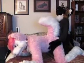 Furry Fun Yiff Yiff