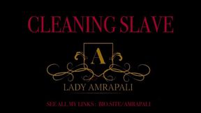CLEANING SLAVE - PUTZSKLAVE