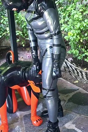 Caring for My Latex - Alex Latex