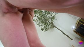 Transsexual Pole Dance Class