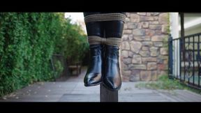 YT3003 The Suffering of Boya