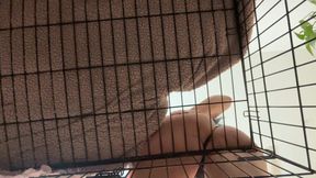 Caged Cuck