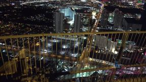 Virtual vacation in Las Vegas with Olive part 1