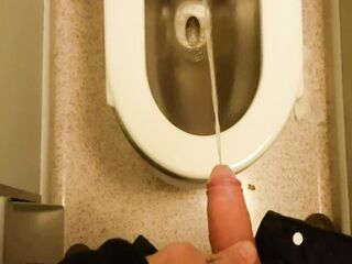 Auf der Zugtoilette geile Mitfahrein kalr gemacht