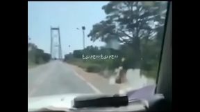 homem angolano gritando macaco