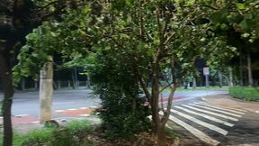 voltamos da balada e o tesao foi maior! paramos no parque e fodemos em um quiosque com os carros passando e buzinando...