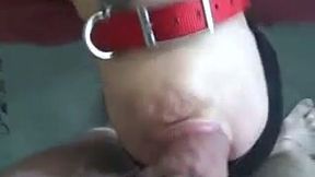 Blindfolded and tied up amateur chubby white wife is mouth fucked