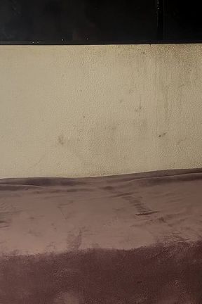 Bareback big dicked boys