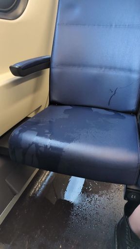 Pissing and Squirting in a Busy Train During the Day