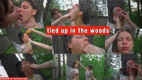 tied up in the woods (4K)