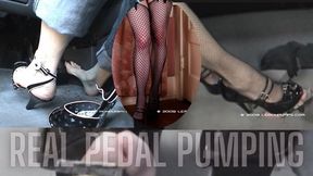 Stubborn Honda + Mature GPFJ Double Feature