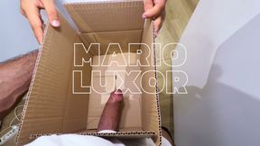Mario Luxor's the Young Adult Scenes