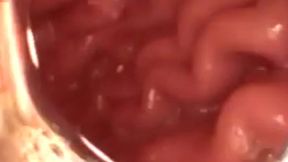 swallowed whole pov: in the giantess s grip