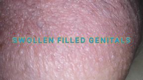 Swollen *** filled silicone filled meat