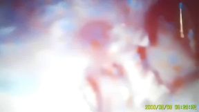 sucking bbc boyfriend