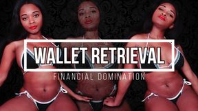 Wallet Retrieval