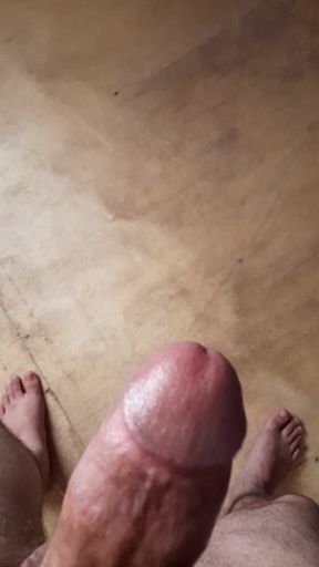 I Am Looking for a Nest in a Big Ass.