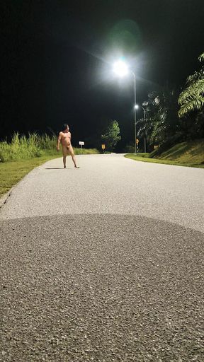 Horny Lady boy naked outside - AsianSlut shierlynslut