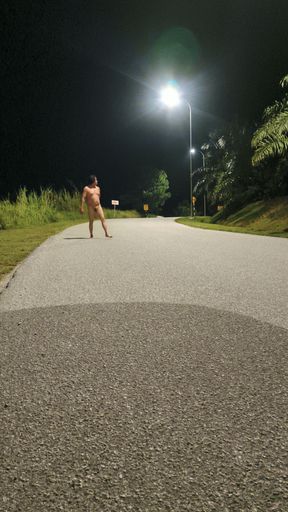 Horny Lady boy naked outside - AsianSlut shierlynslut