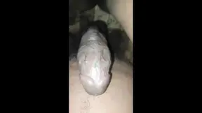 Indian wife got lover at home