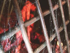 Pussy Fest Scene 2 Orgy Between Three Horny Friends Eager to Share Cum