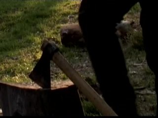 Scene 4