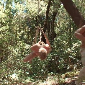 Captured and Edged in the Deep Woods