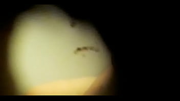 Esp&iacute_a en sanitario unicenter