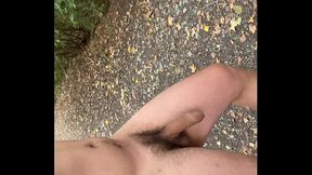 PornoMR - naked public walk