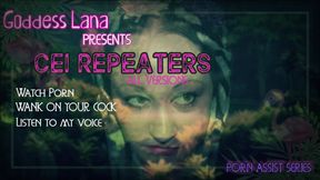 AUDIO ONLY - CEI repeaters all versions