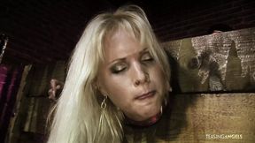 Blonde slaves enjoy vigorous butt&#x1F351; and cunt&#x1F32E;&#xFE0F; pounding while restrained